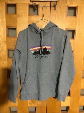 Patagonia Gray Hoodie with Multicolor Mountain Graphic